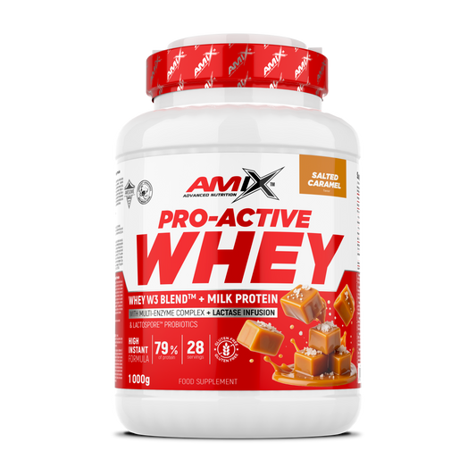 AMIX PRO ACTIVE PROTEINA WHEY