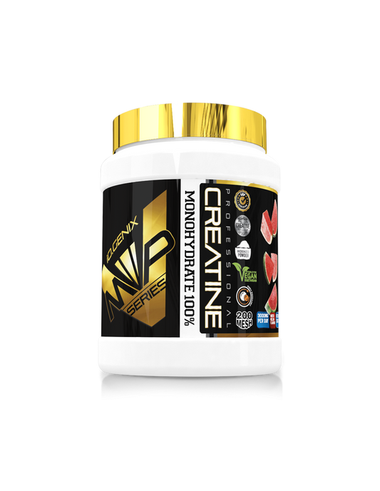 IO.GENIX CREATINE MICRONIZED 500 GR